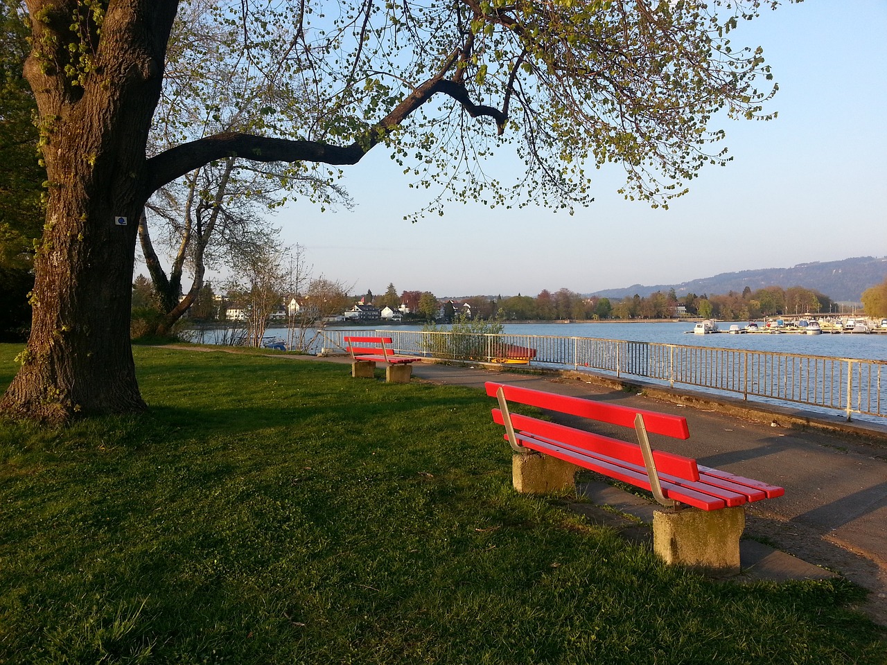 阿莫林：相信自己是曼联主帅最合适人选.